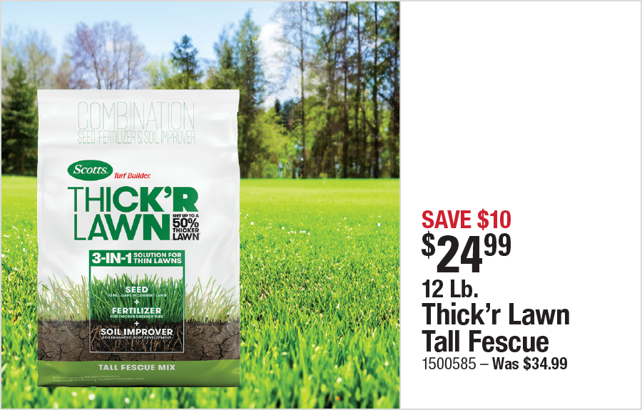 12 Lb. Thick'r Lawn Tall Fescue
